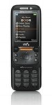    SonyEricsson W830 