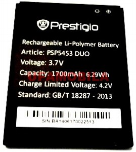  Prestigio 5453