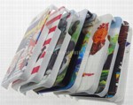   iPhone 4G/4S Pictures 